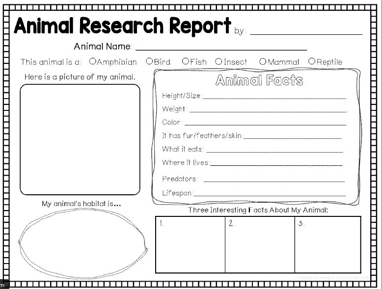 Our Primary Classroom: Animal Research Report 🦁🦍🐯🐺🦊