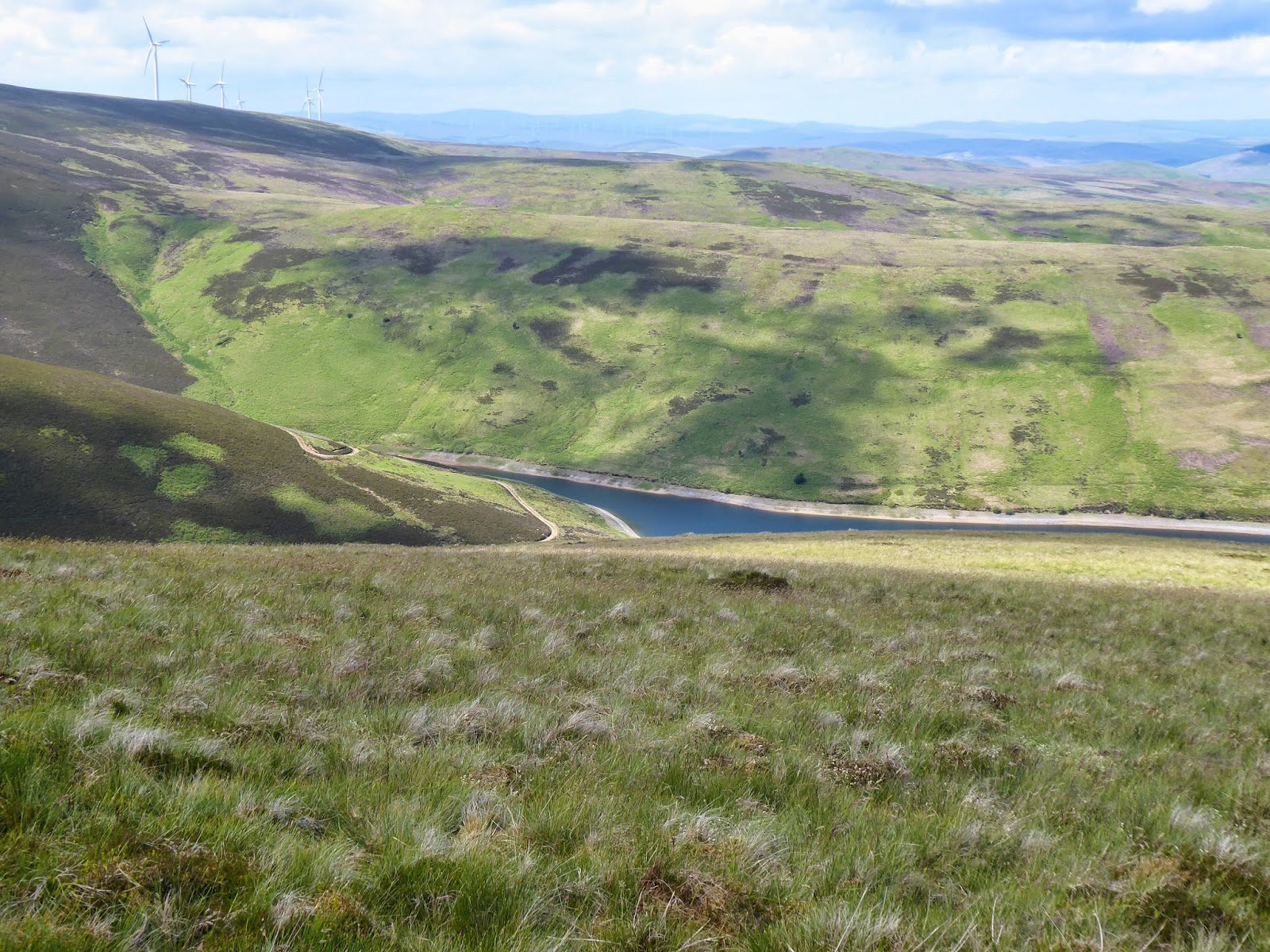 Desmondo's Ramblings Two Border Donalds and a lot of Turbines