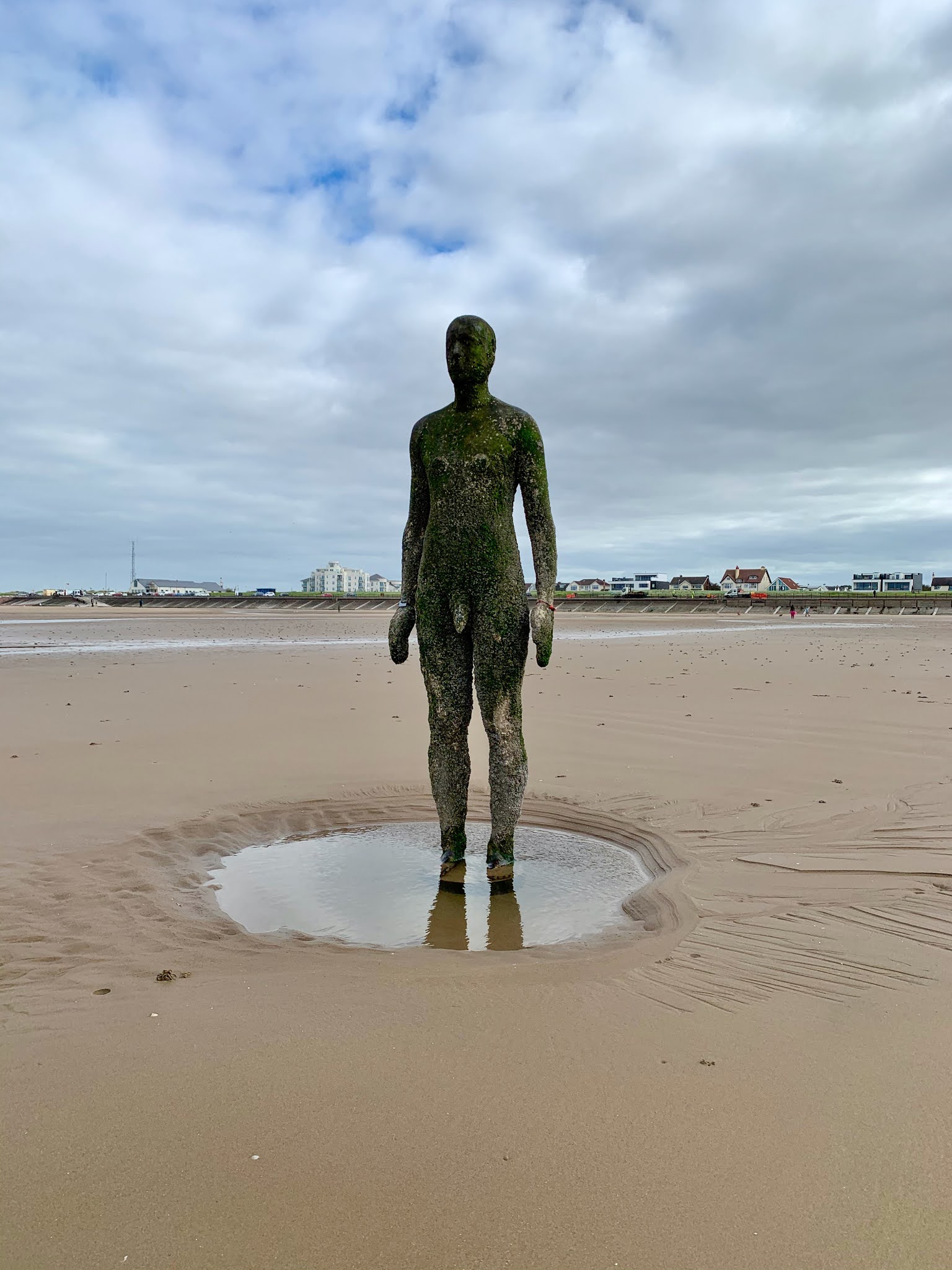 Today is Absolutely Today Crosby Beach September 2020