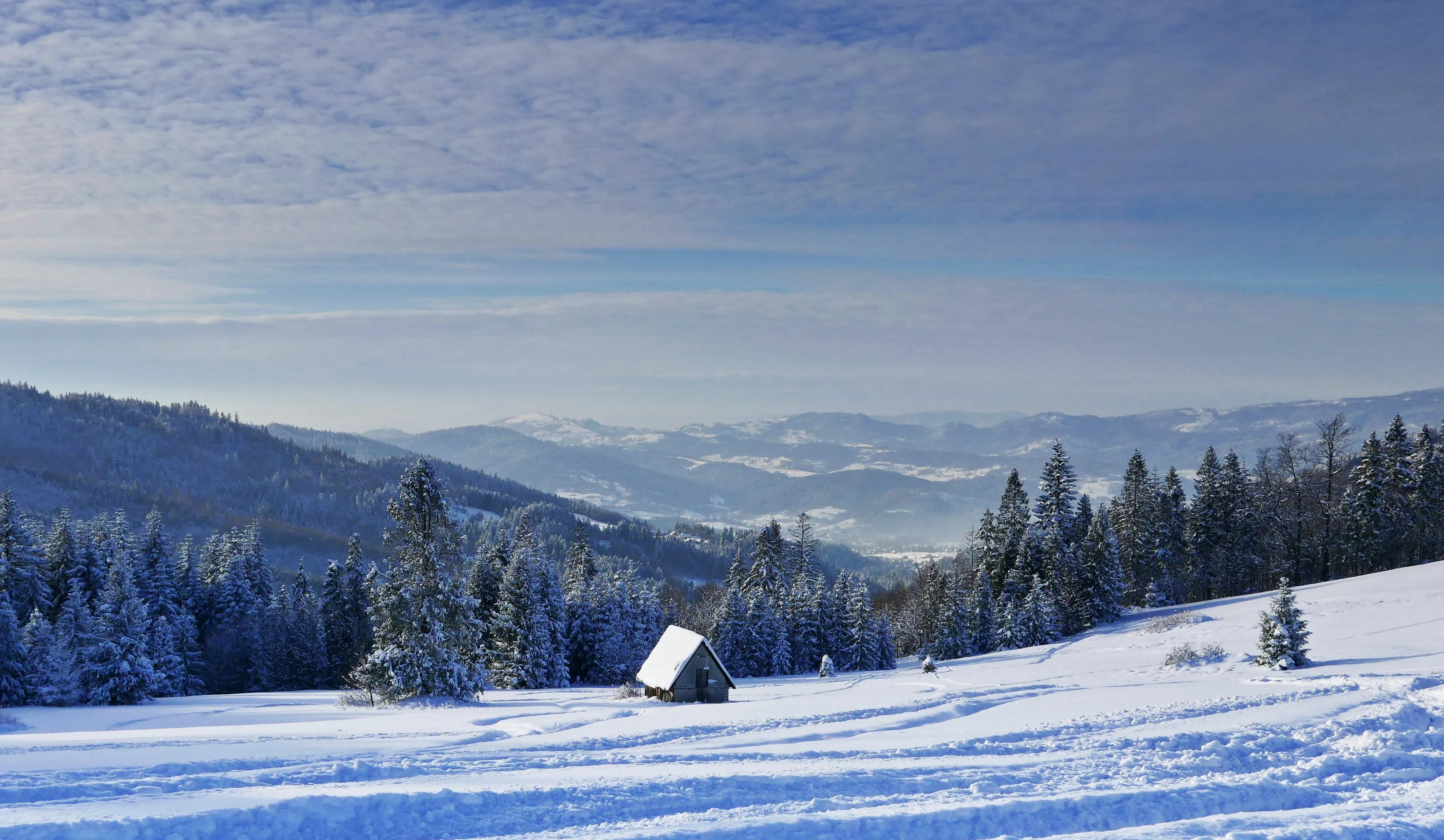 Beskid Żwiecki, Hala Boracza - zimowa panorama