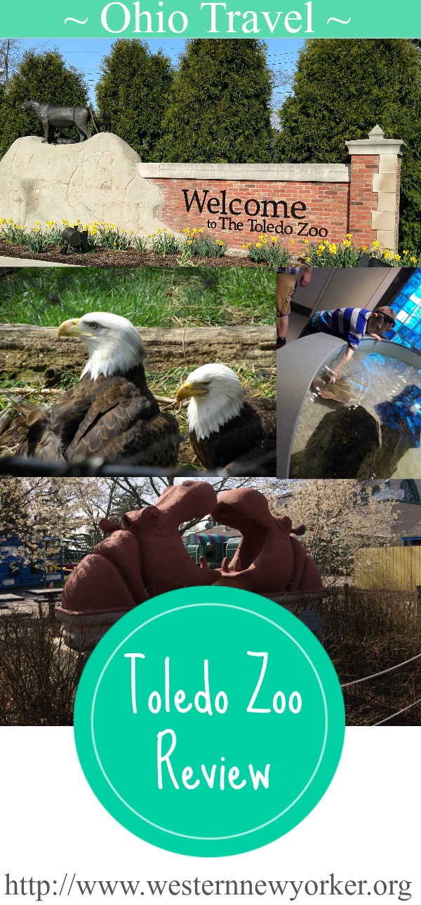 Reasons to visit the Toledo Zoo The Western New Yorker