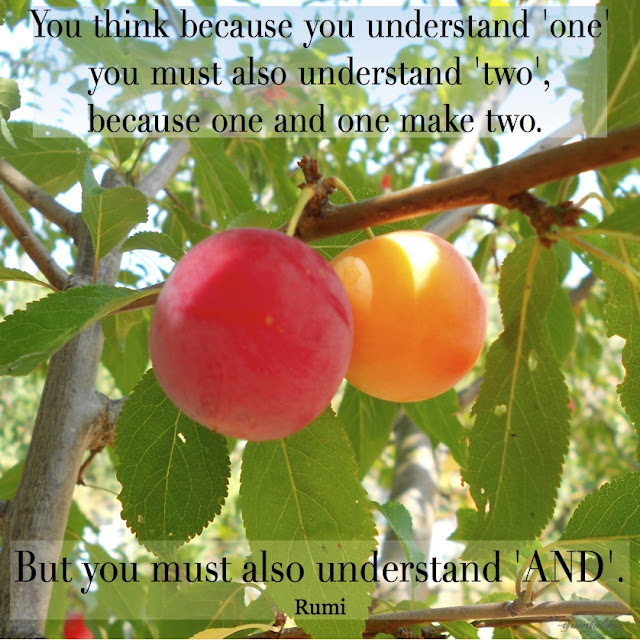 You think because you understand 'one' you must also understand 'two', because one and one make two. But you must also understand 'and'. - Rumi