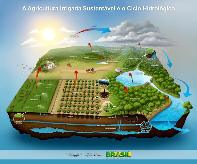 A Agricultura Irrigada Sustentável e o Ciclo Hidrológico