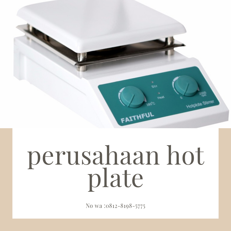 Plate Warmer Hot Plate November 2019