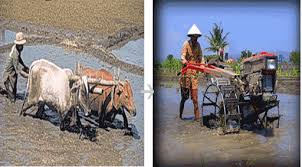 Perubahan Sosial - Blog for Learning