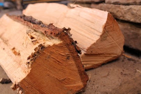 Οικονομικές λύσεις θέρμανσης-ξύλα
