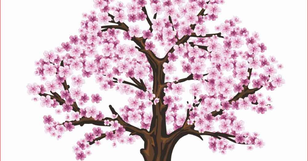 Paling Bagus 14 Gambar Bunga Sakura Menggunakan Koleksi Bunga Hd