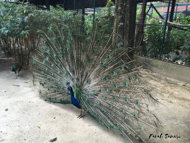 Wildlife Park, Langkawi