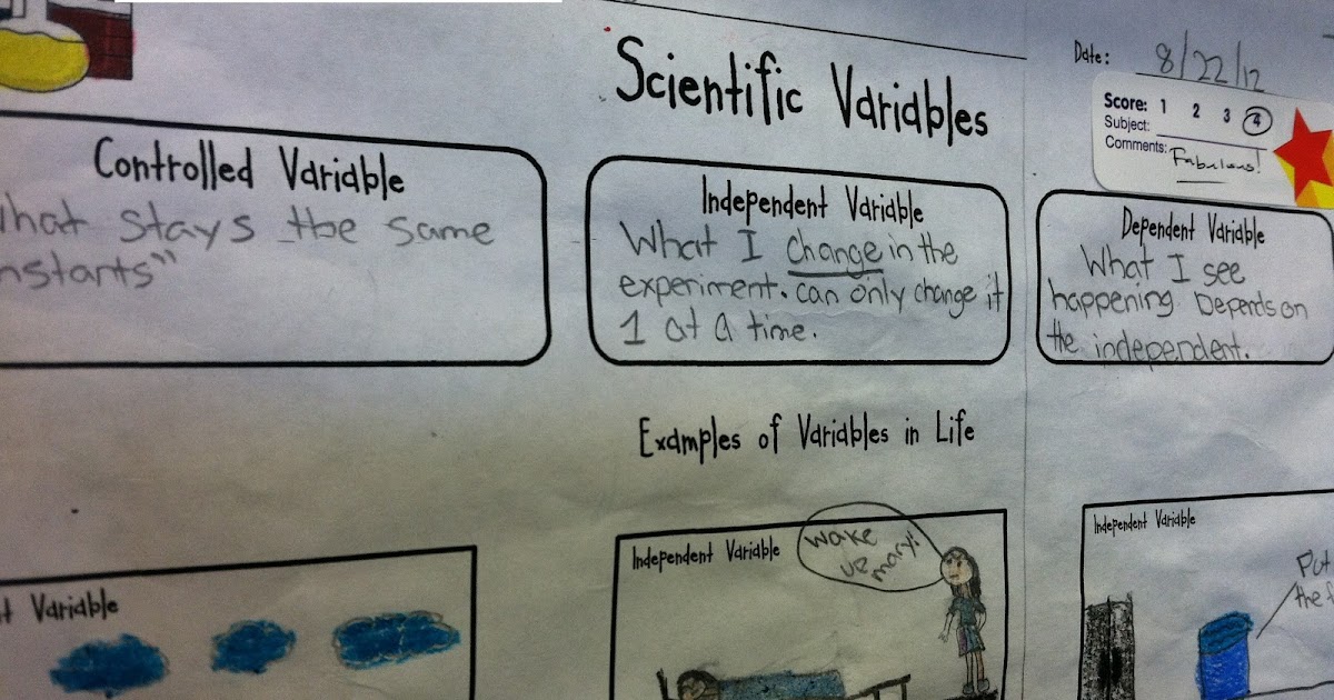 Independent And Dependent Variables Worksheet Middle School Science