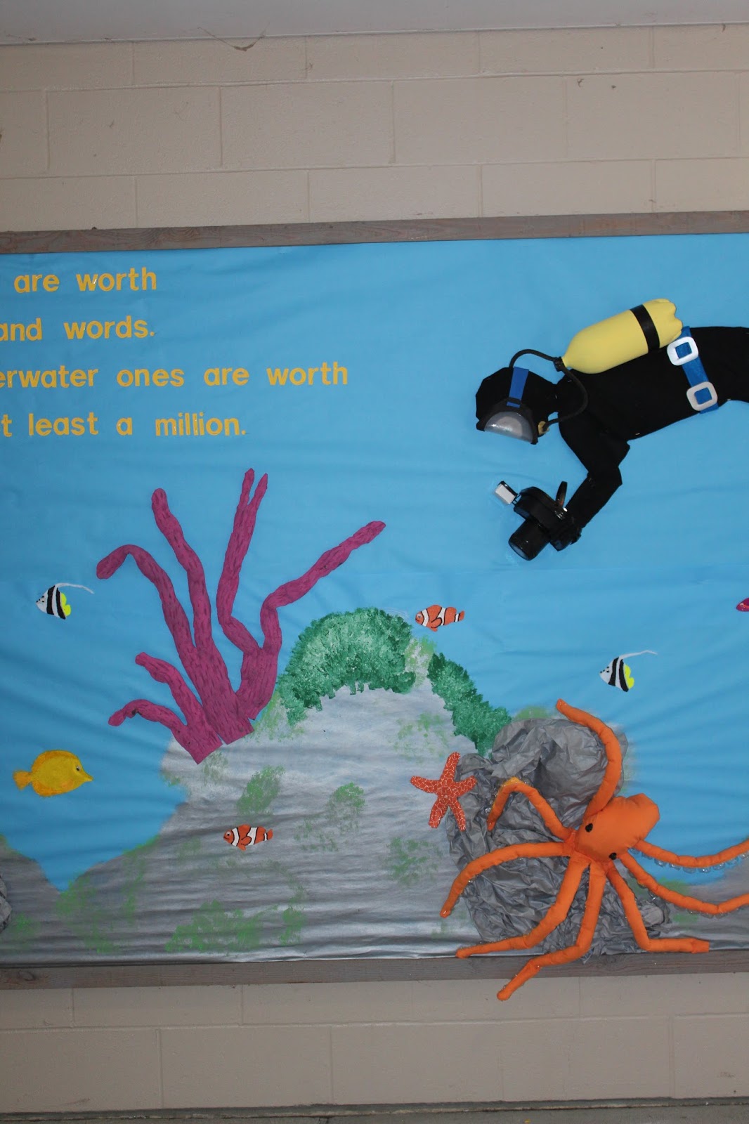 School Bulletin Boards Underwater Tropical Ocean Scuba Diver School
