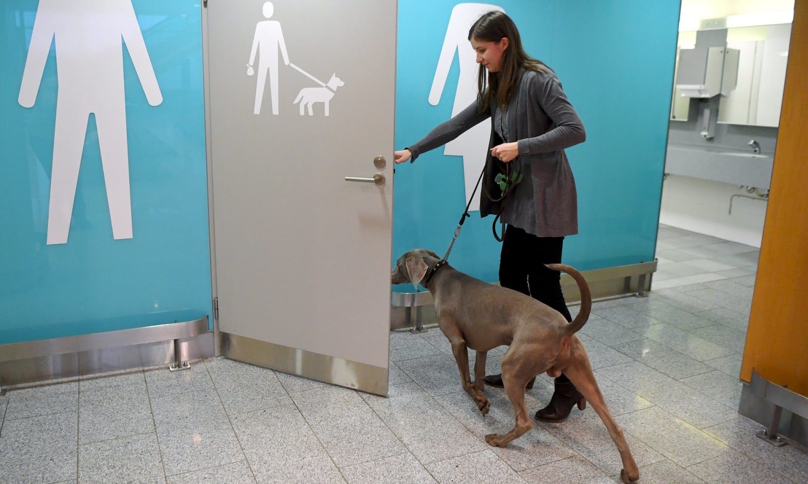 Можно с собаками в тц. Туалет для животных в аэропорту Стамбула. Аэропорт Хельсинки туалет для собак. Туалет для собак в аэропорту. Комната для животных в аэропорту.