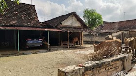 Warga Kampung Miliarder Tuban Tetap Bertani Meski Punya Banyak Uang Warga Kampung Miliarder Tuban Tetap Bertani Meski Punya Banyak Uang