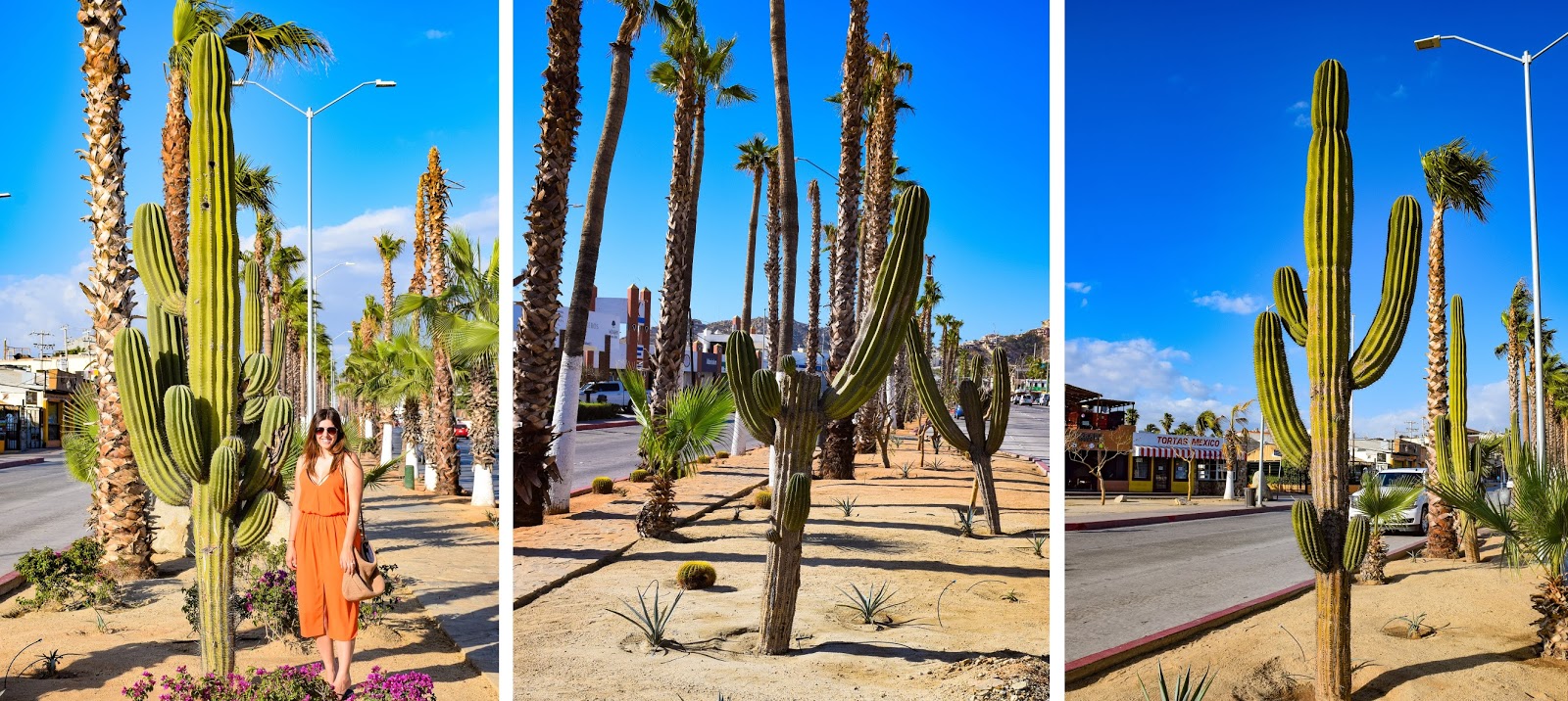 cabo san lucas