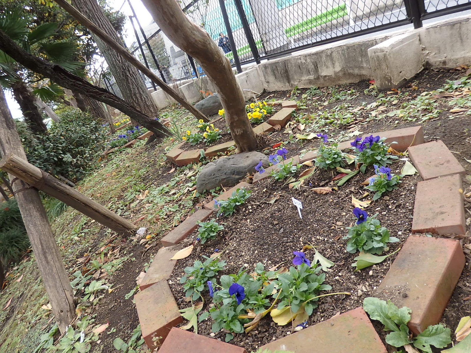 東調布中スマイルサポート: 11月 2017