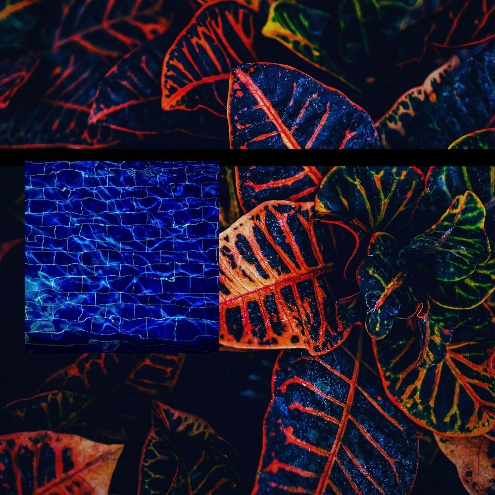 Deviin Taylor – 별이 빛나는 밤에 – EP