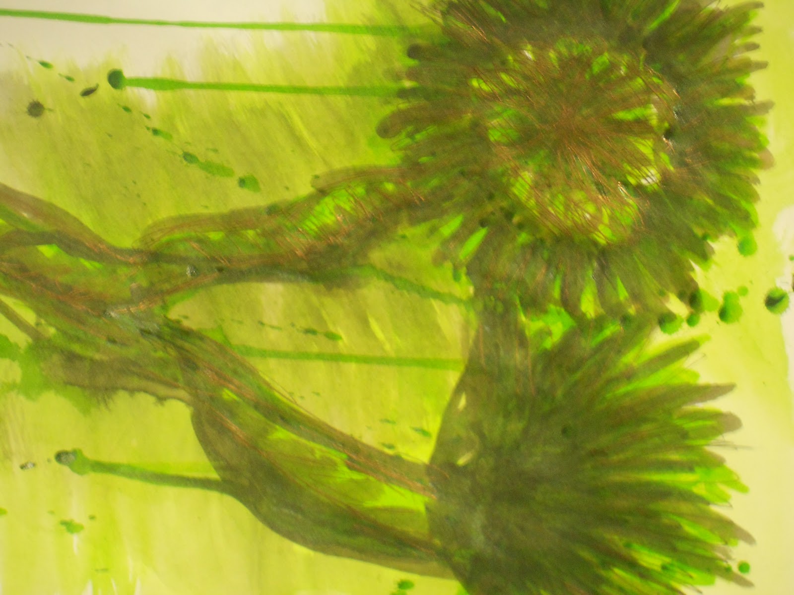 ART PORTFOLIO Using different mediums to draw from still life