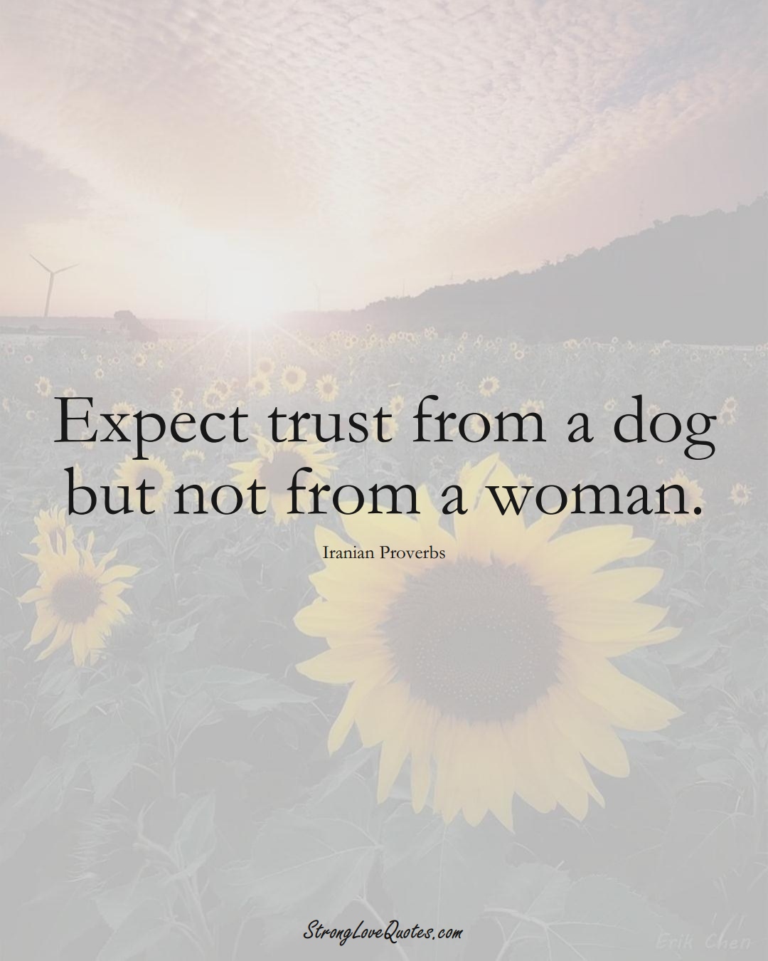 Expect trust from a dog but not from a woman. (Iranian Sayings);  #MiddleEasternSayings
