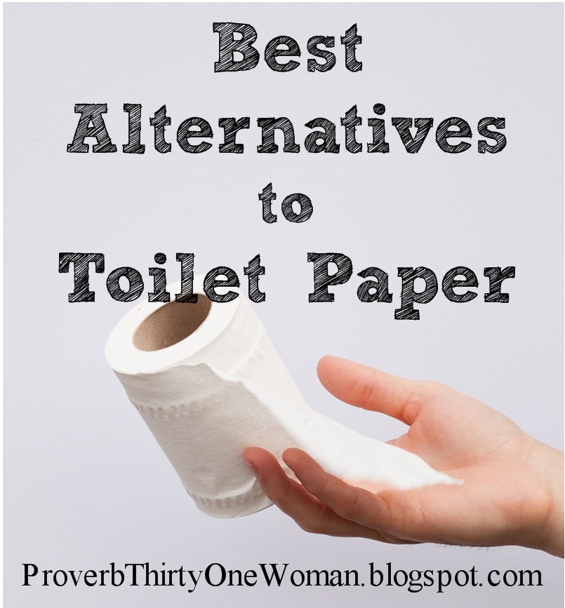 Best Alternatives to Toilet Paper Proverbs 31 Woman