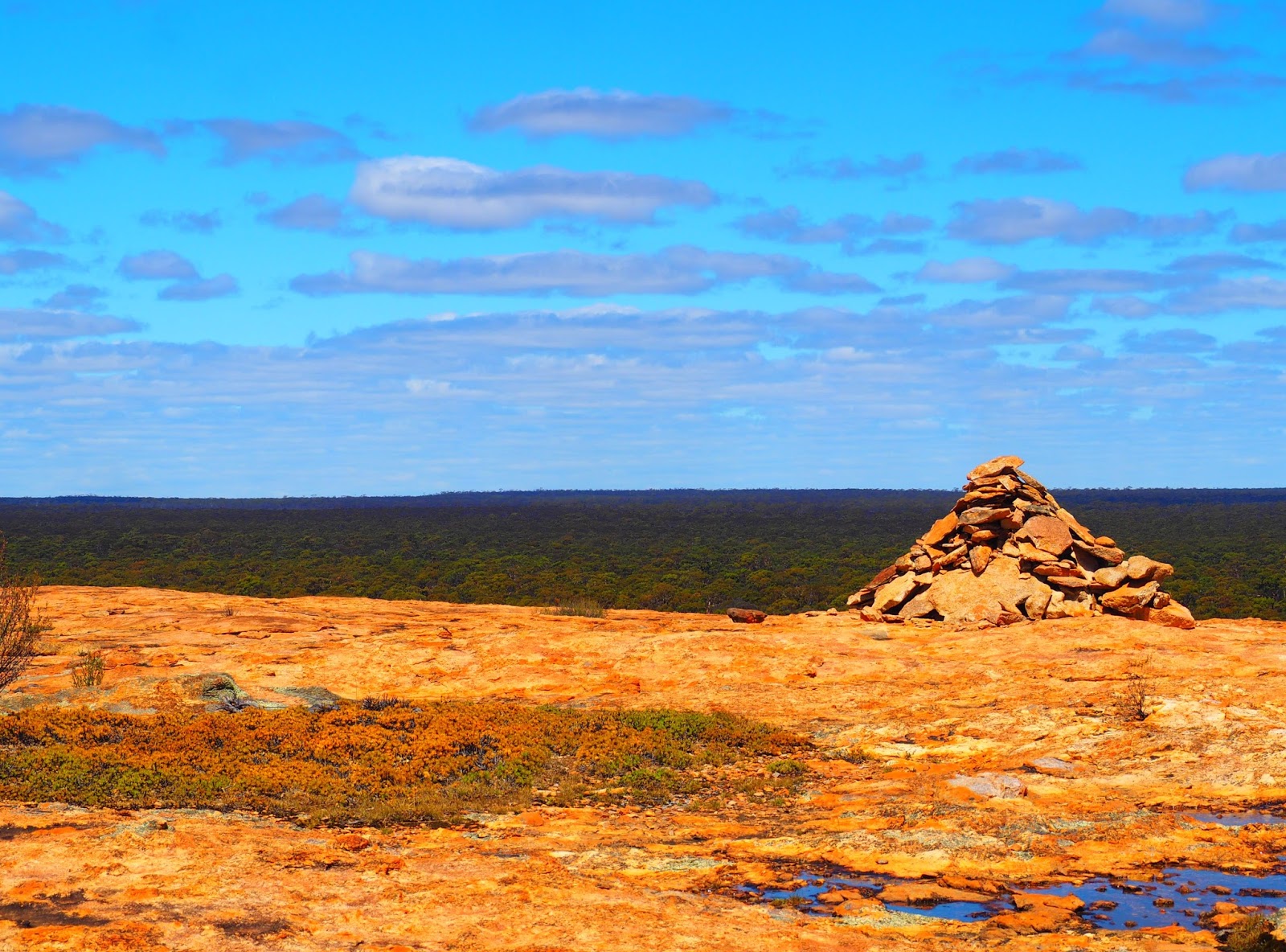 The semigrey nomad. The Norseman to Hyden road. A hidden gem.