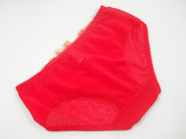 Fashion Care 2u U165 Sexy Red Embroidery Floral Women Underwear