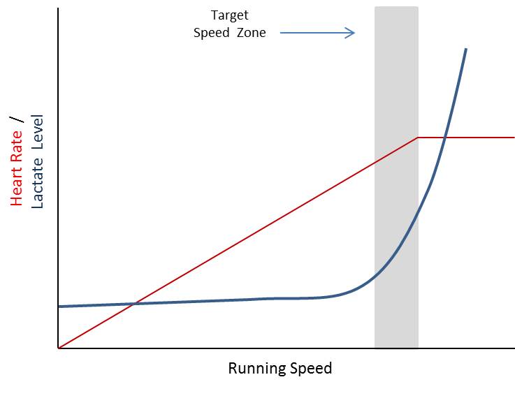 Maximum Performance Running: March 2013