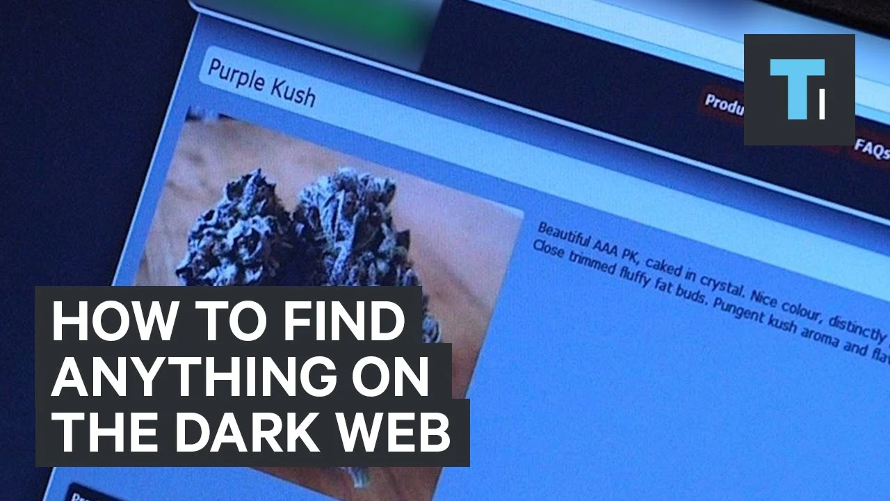 How to find anything on the dark web [video]