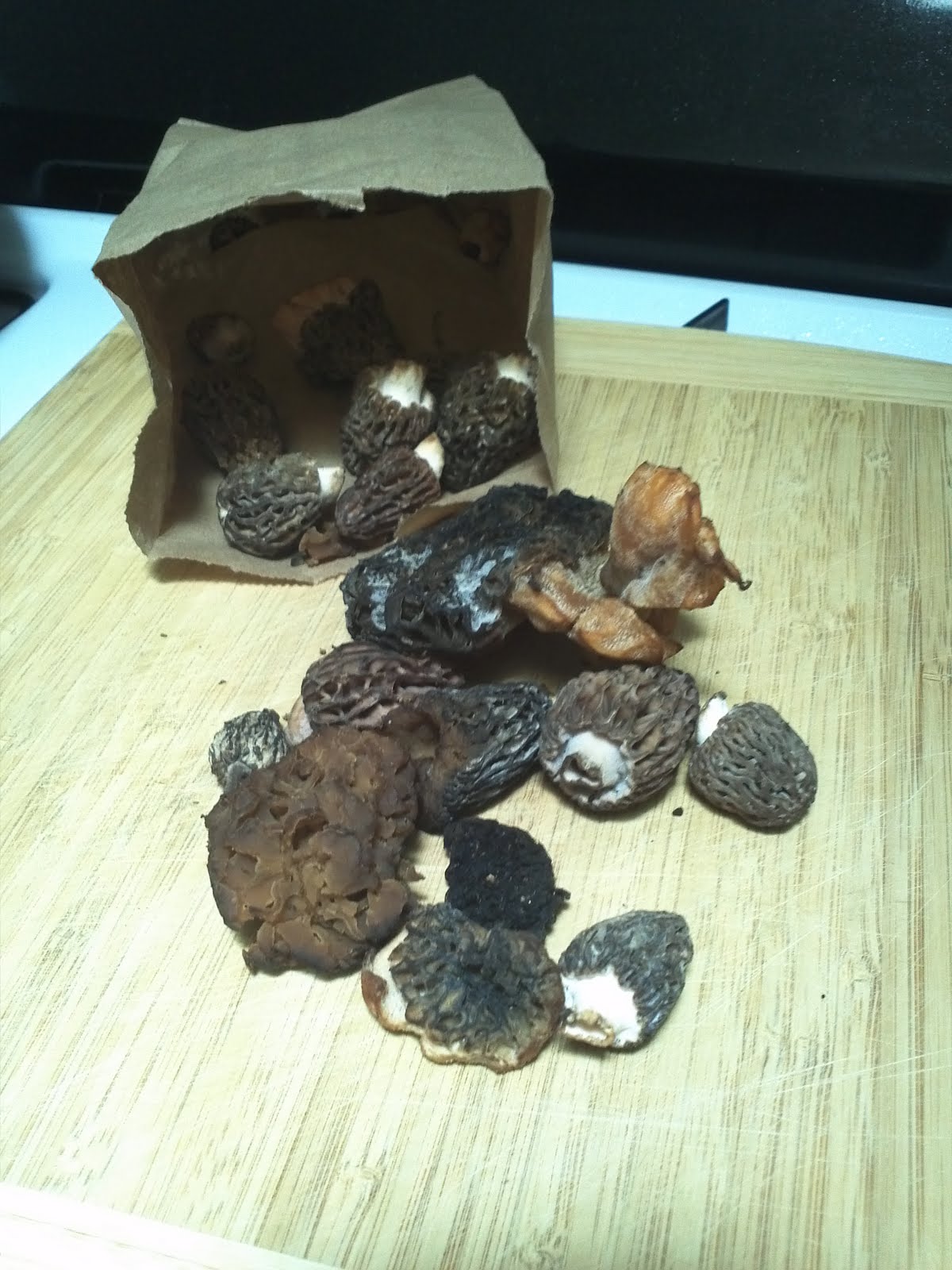 Dinner by Seven Thirty Steak with Creamy Morel Mushroom Sauce