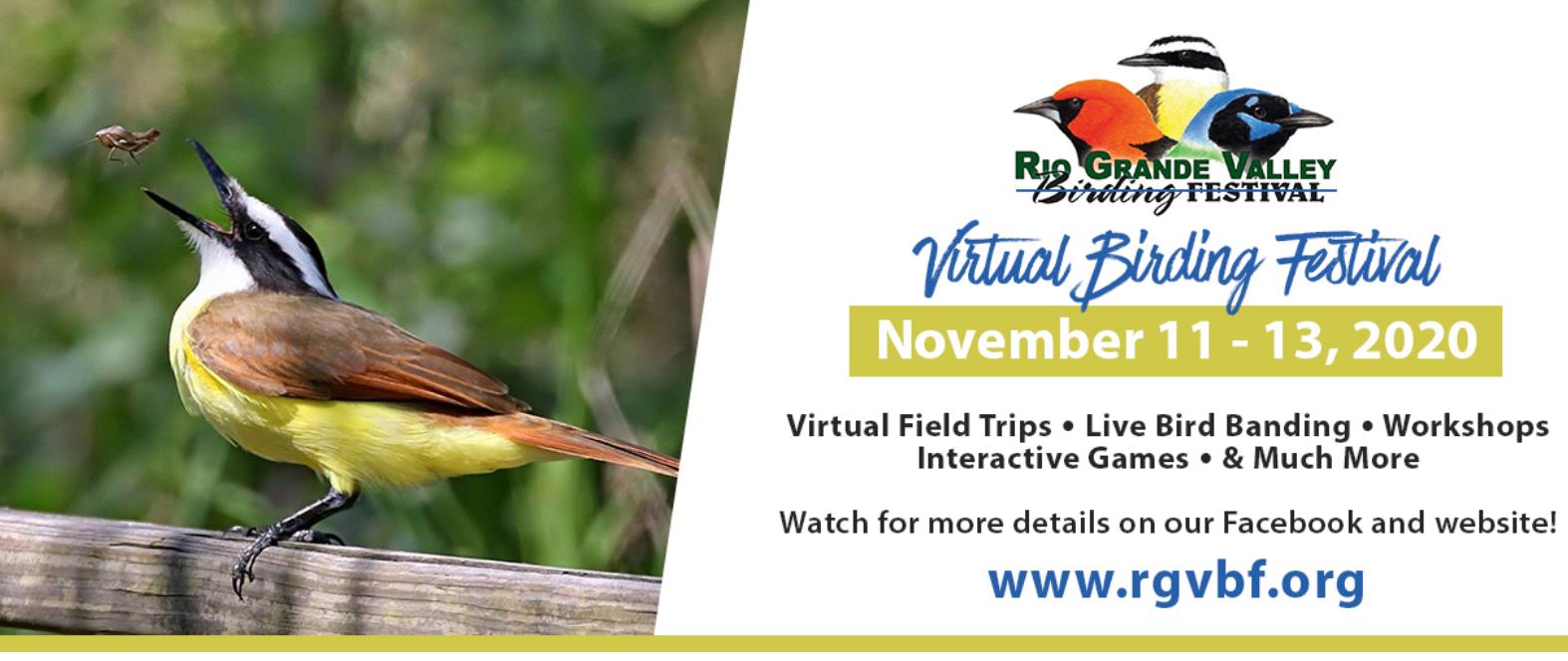 Arroyo Colorado Audubon Society RGV Birding Festival