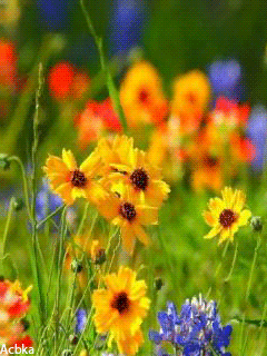 flor+mov++florr.gif