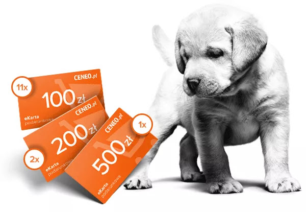 Wygraj kartę podarunkową Ceneo o wartości 500 zł Konkurs
