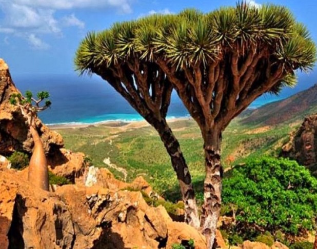 Pulau Socotra Yemen, Pulau yang Didakwa Tempat Dajjal Dirantai
