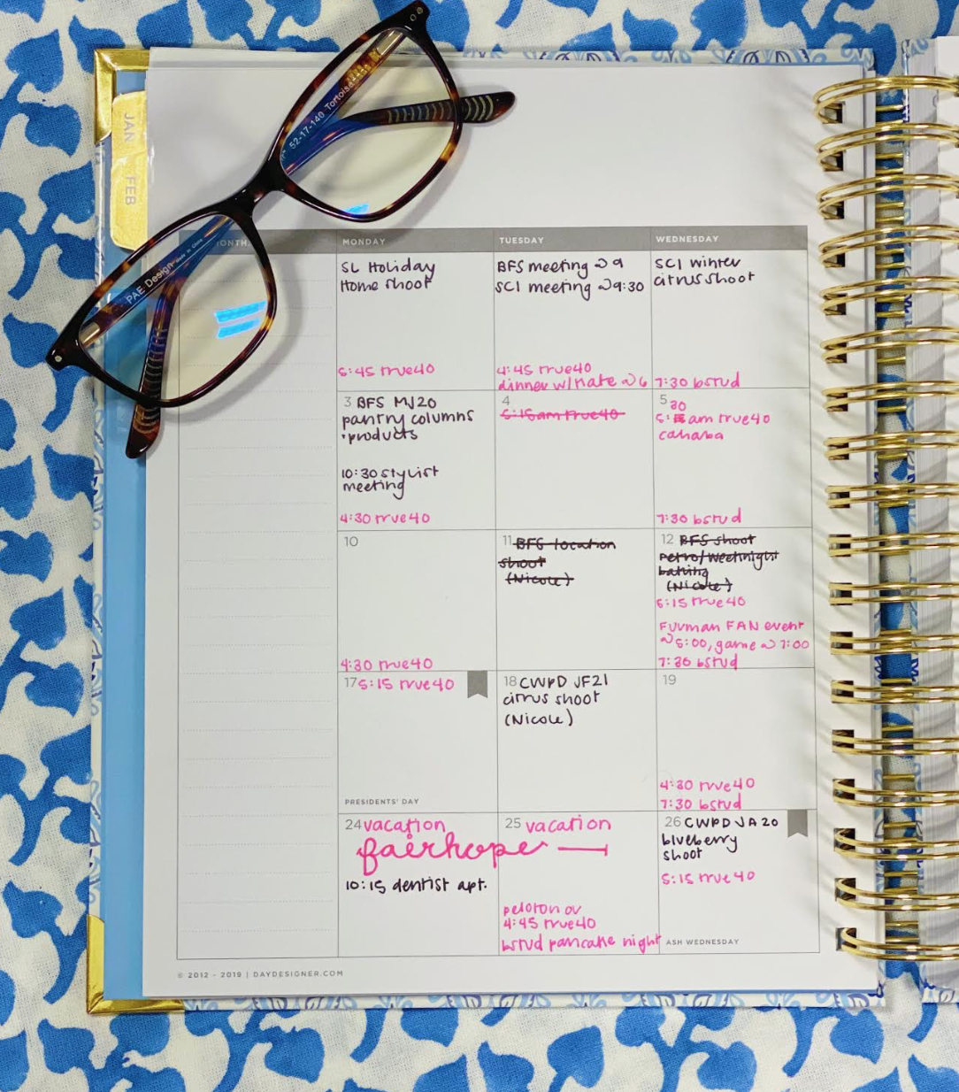 Day Designer® Planners on Instagram: Taking inspiration from  @mycraftyplans on how to stay organized and ensure success throughout the  week using the Ideal Week Work Page in her Flagship planner. 📝 How