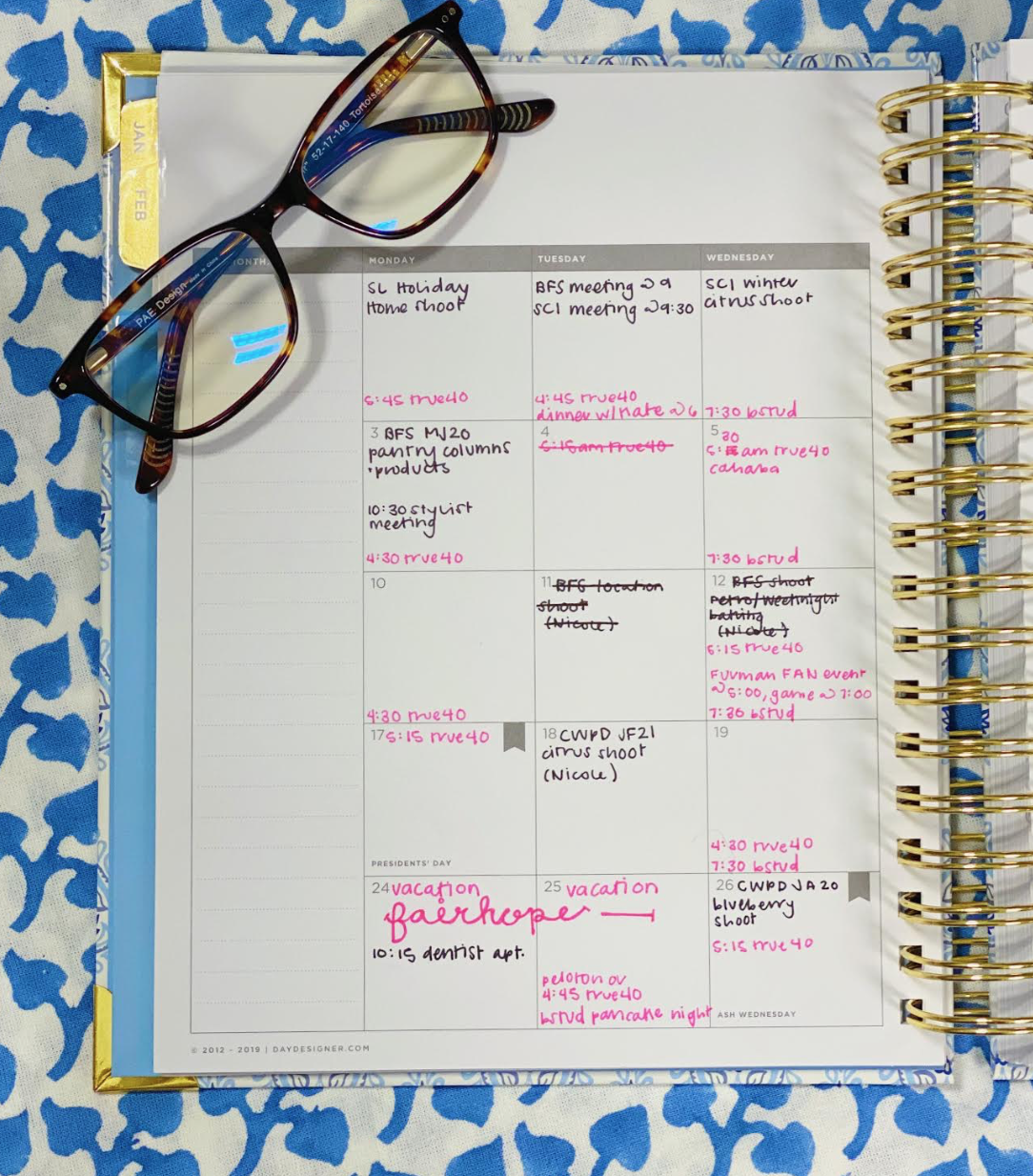 Prep In Your Step How I Organize My Planner (Day Designer)