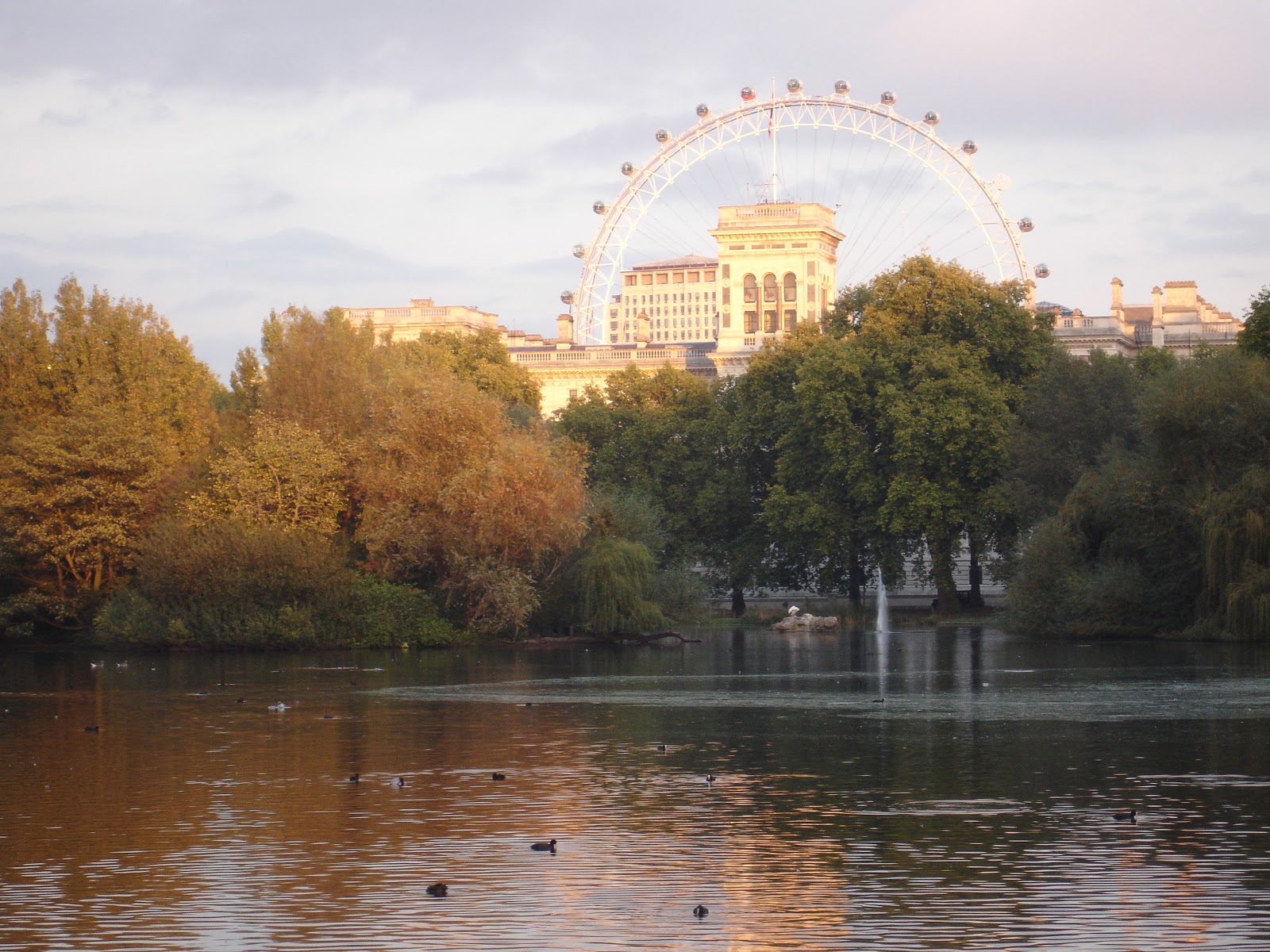 out and about: Buckingham Palace Garden
