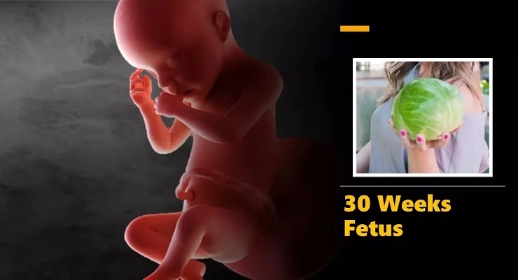 30 weeks fetus growth In Hindi