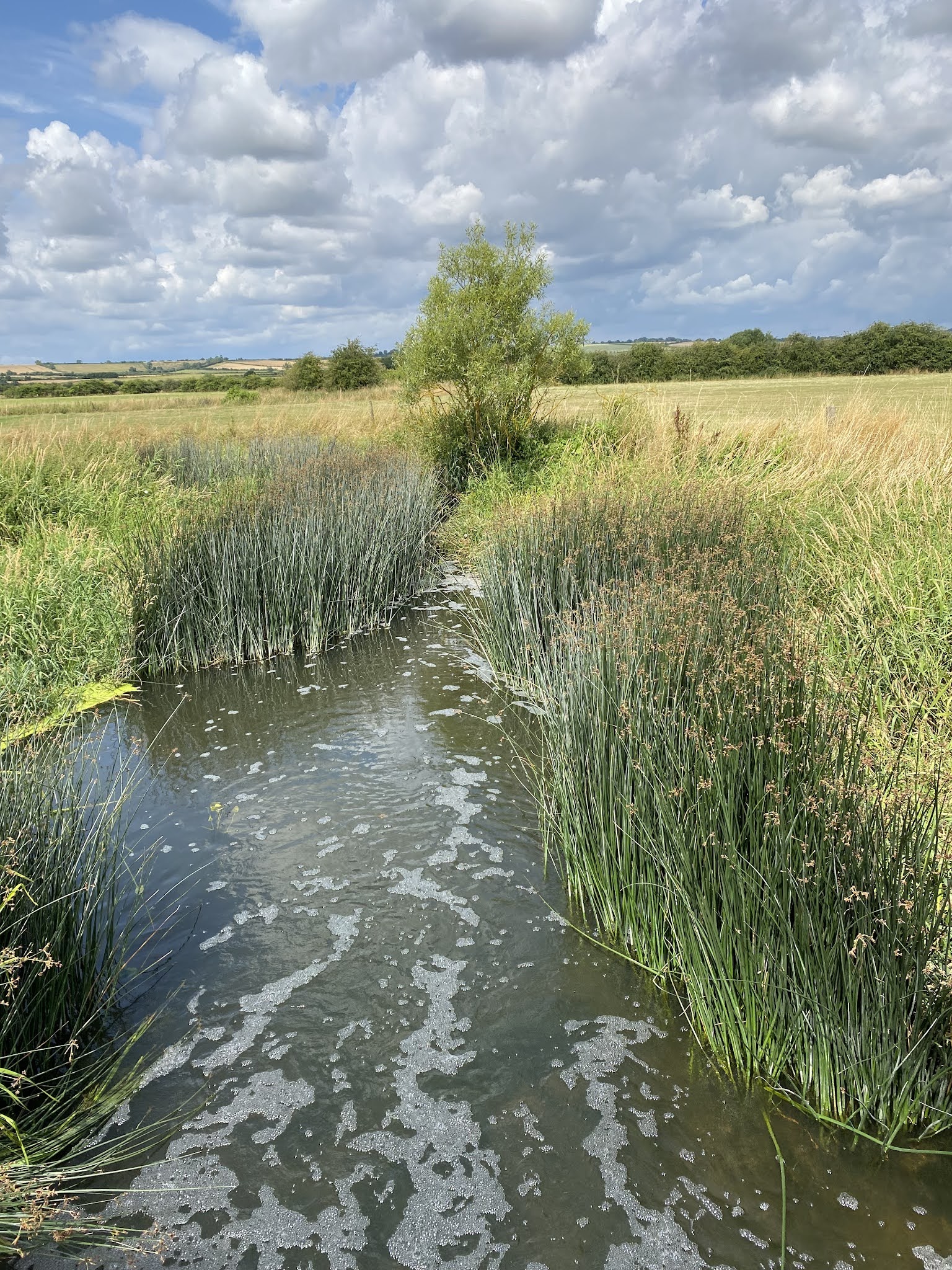 aliwalks Gretton, Thorpe by Water, Lyddington, Caldecott.