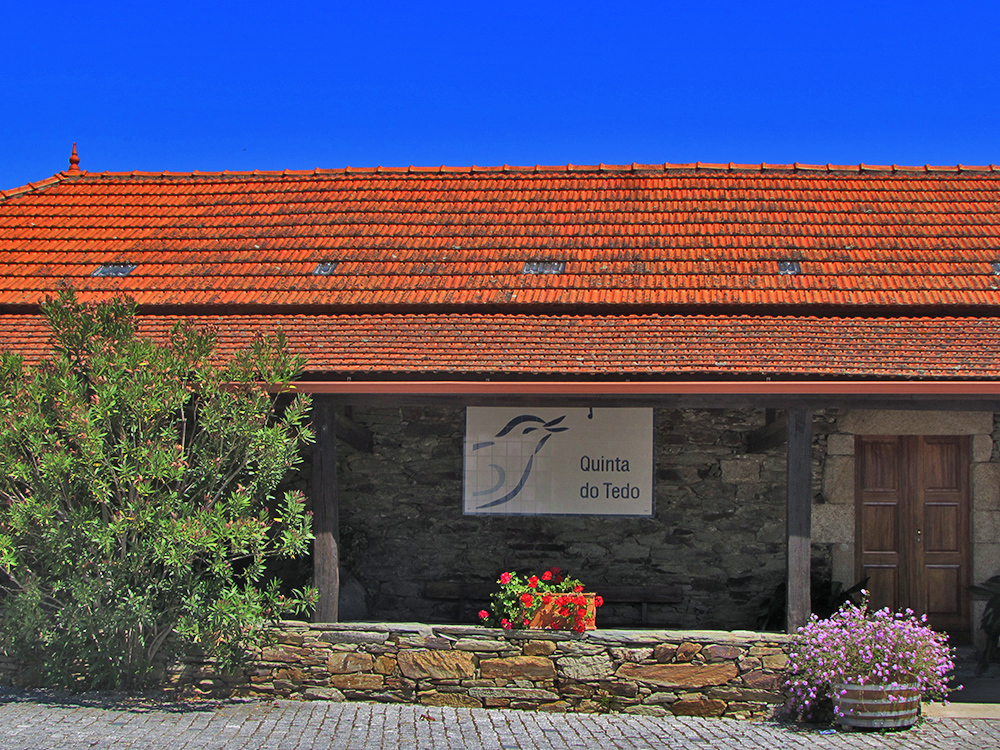 Do Porto para... o Vale do Douro. Na Quinta do Tedo.