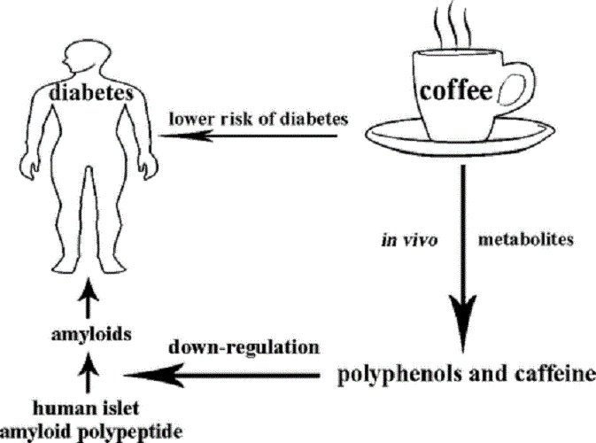 Is there Relationship between Coffee and Type 2 Diabetes? Diabetes 10