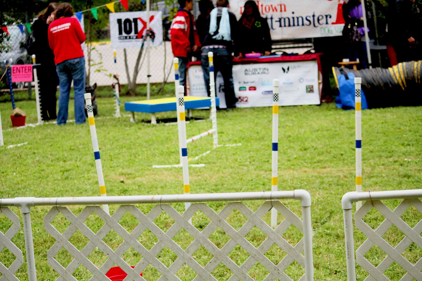 Miriam Rousseau Midtown MuttMinster Dog Show