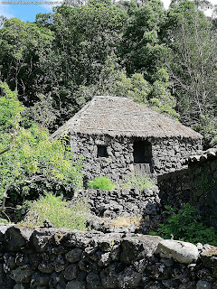 PORTUGAL / Quinta do Martelo, Ilha Terceira, Açores, Portugal