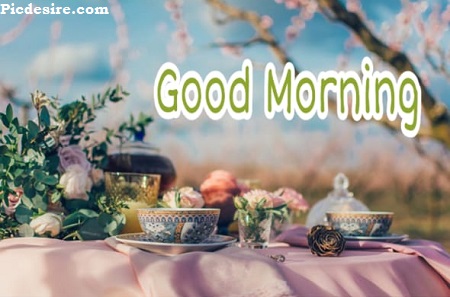 Good Morning Tea Images | Best 20 Good Morning Tea Pic Good Morning Tea Images | Best 20 Good Morning Tea Pic