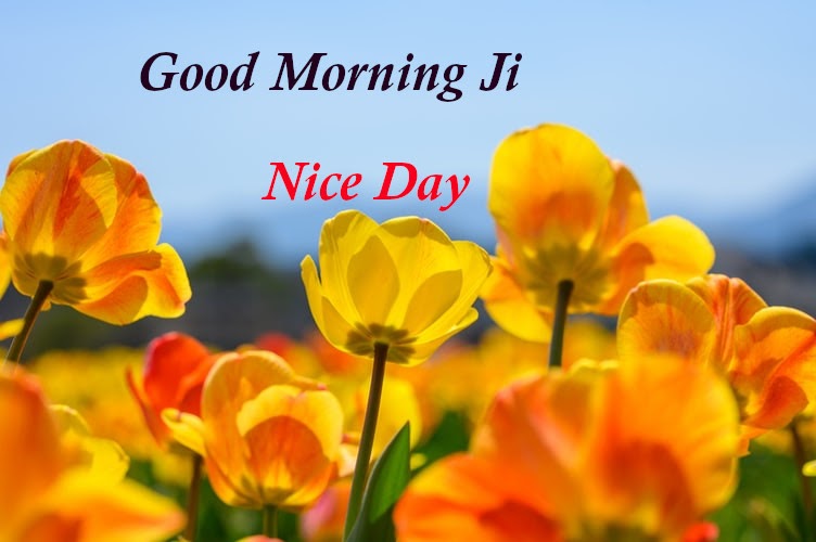 Top 10 Good Morning ji images Photos , greetings, pictures for Whatsapp