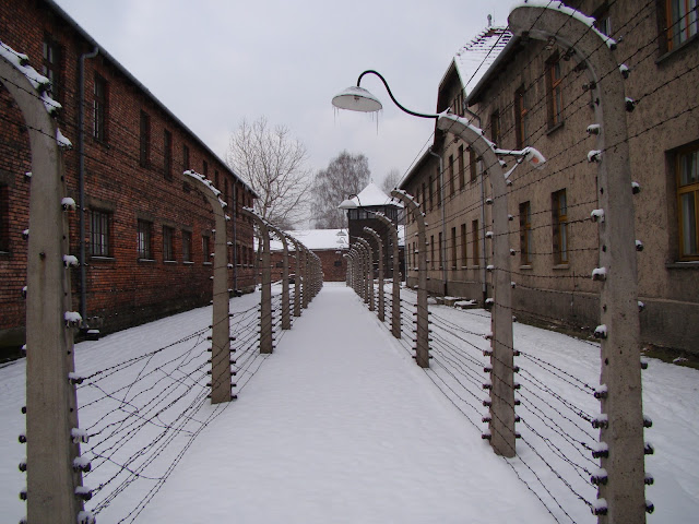 Auschwitz 2012: Auschwitz 1: Fences and Guard-towers