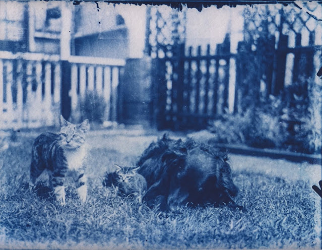 Hombre abre una cápsula del tiempo de 120 años y encuentra fotos de