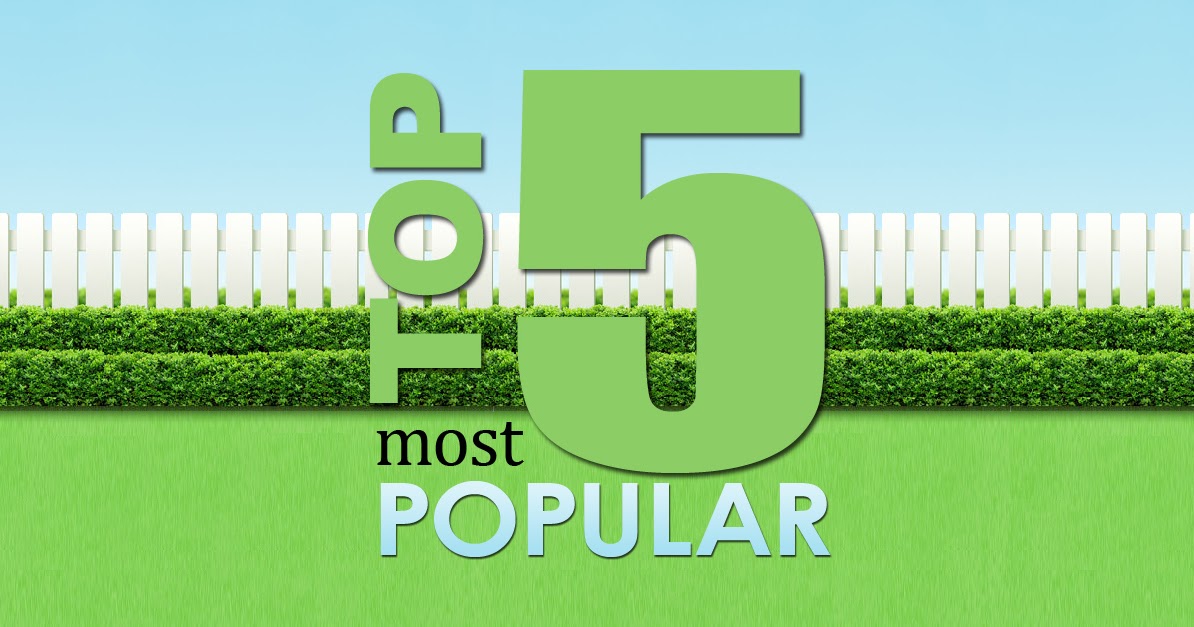 Top 5 OKC Craigslist Garage Sale Posts Craigslist Garage Sales