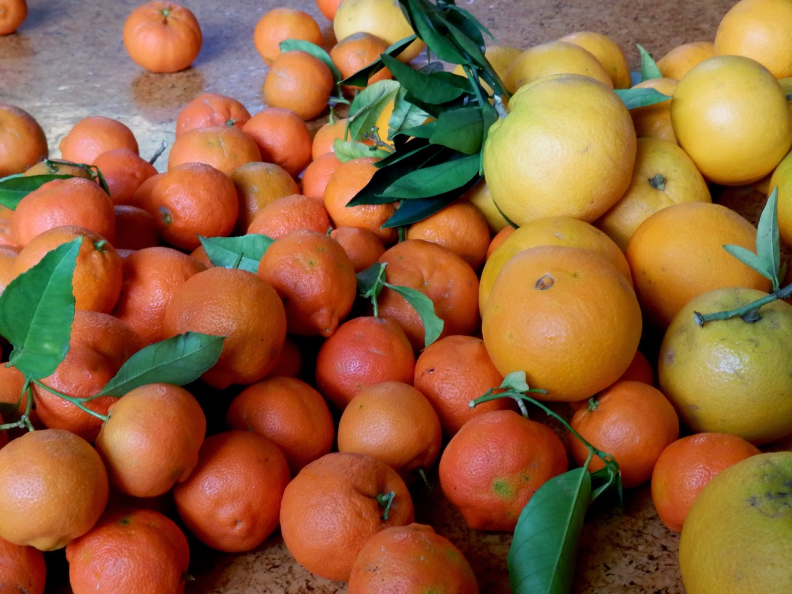 What You See... More MandarinLimes (Rangpur Limes)