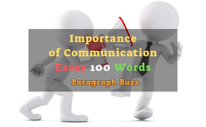 essay about communication 100 words