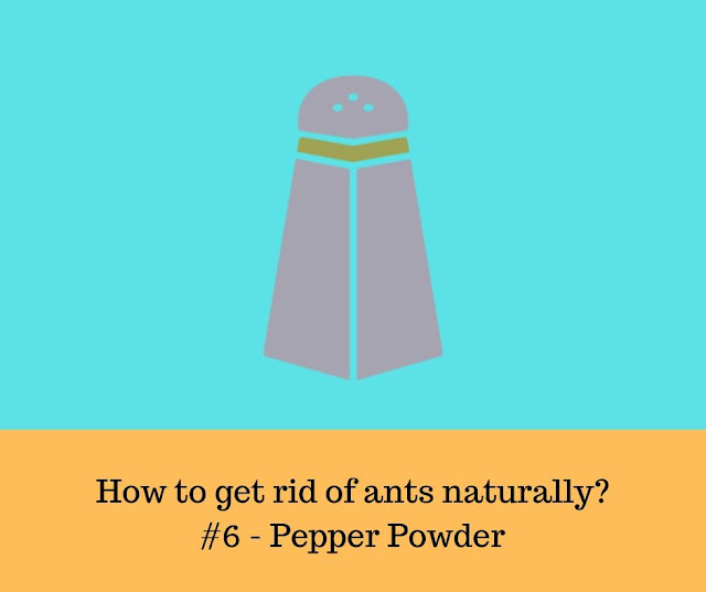 Sprinkles of pepper in the infected area of the house to kill ants - Pepper Effective to get rids of ants - Pepper