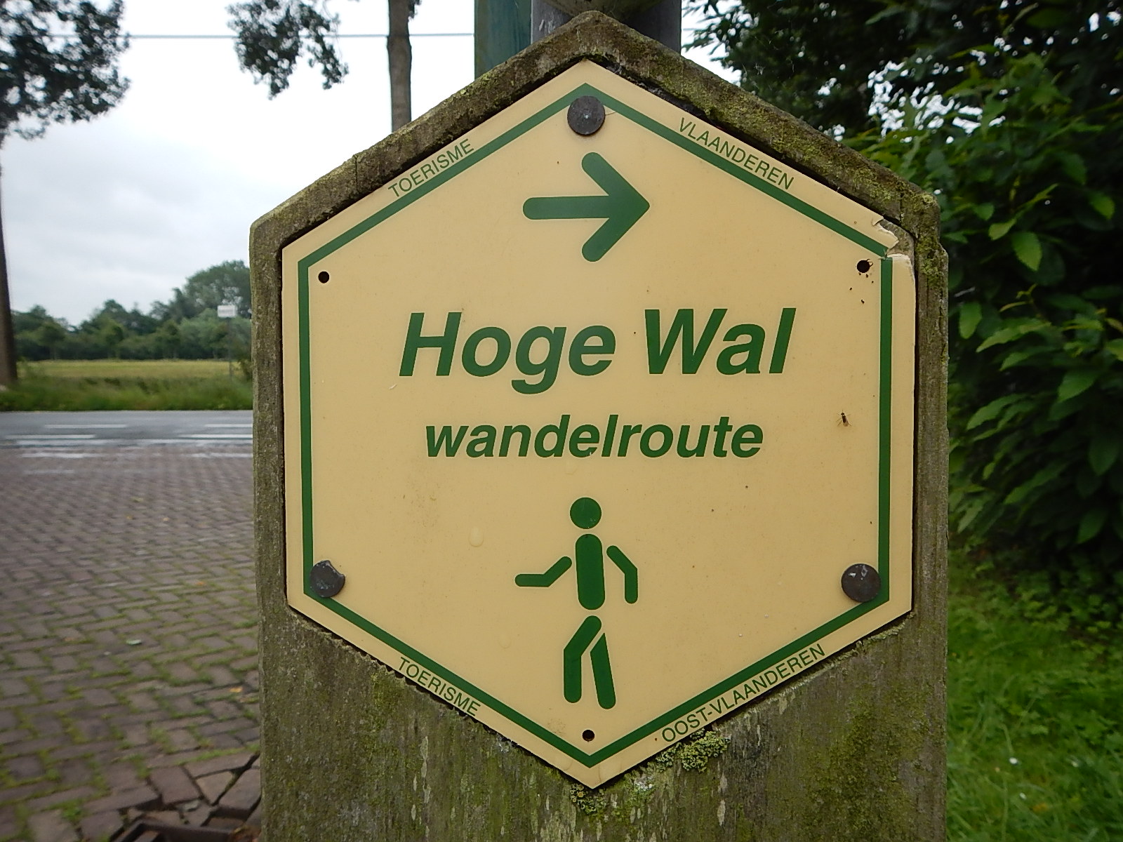 Gwy op wandel Hoge Wal