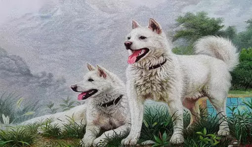 (4) Korean Embroidery